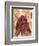 Untitled African Red Wrap-Marta Gottfried-Framed Giclee Print