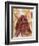 Untitled African Red Wrap-Marta Gottfried-Framed Giclee Print