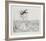 Untitled - (Beetle)-Rauch Hans Georg-Framed Limited Edition