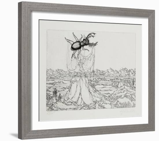 Untitled - (Beetle)-Rauch Hans Georg-Framed Limited Edition