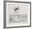 Untitled - (Beetle)-Rauch Hans Georg-Framed Limited Edition