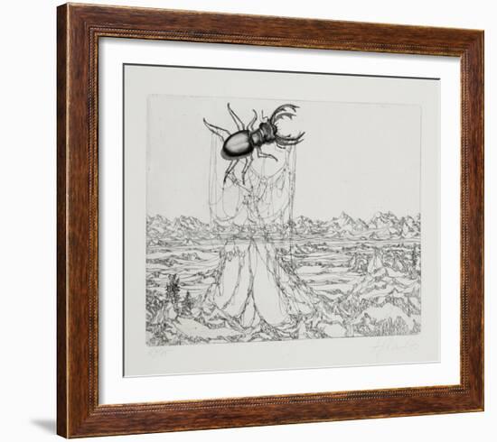 Untitled - (Beetle)-Rauch Hans Georg-Framed Limited Edition