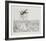 Untitled - (Beetle)-Rauch Hans Georg-Framed Limited Edition