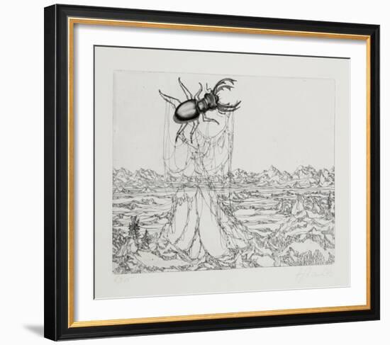 Untitled - (Beetle)-Rauch Hans Georg-Framed Limited Edition