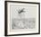 Untitled - (Beetle)-Rauch Hans Georg-Framed Limited Edition