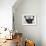 Untitled (Boxer)-Jean-Michel Basquiat-Framed Giclee Print displayed on a wall