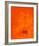 Untitled, c.1991 (Orange)-Jürgen Wegner-Framed Serigraph