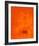 Untitled, c.1991 (Orange)-Jürgen Wegner-Framed Serigraph