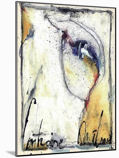 Untitled, C.2000-2012-Didier Gaillard-Mounted Giclee Print