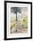 Untitled - Country Road-Clarence Holbrook Carter-Framed Collectable Print