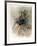 Untitled (Dancer)-Chaim Gross-Framed Limited Edition