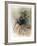 Untitled (Dancer)-Chaim Gross-Framed Limited Edition