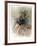 Untitled (Dancer)-Chaim Gross-Framed Limited Edition