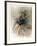 Untitled (Dancer)-Chaim Gross-Framed Limited Edition