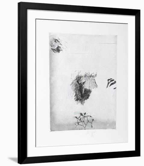 Untitled - Half Zebra-Donald Saff-Framed Limited Edition