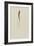 Untitled: Marine Bristle Worm-Philip Henry Gosse-Framed Giclee Print