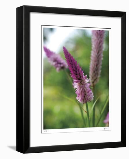 Untitled Purple-John Gynell-Framed Giclee Print