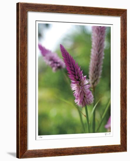 Untitled Purple-John Gynell-Framed Giclee Print