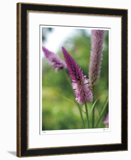 Untitled Purple-John Gynell-Framed Giclee Print