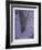 Untitled (Purple)-Hong Hao-Framed Limited Edition