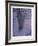 Untitled (Purple)-Hong Hao-Framed Limited Edition