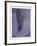 Untitled (Purple)-Hong Hao-Framed Limited Edition