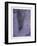 Untitled (Purple)-Hong Hao-Framed Limited Edition