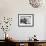 Untitled (Samo, New York)-Jean-Michel Basquiat-Framed Giclee Print displayed on a wall