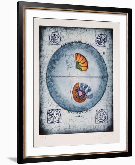 Untitled - Shell Study-Tighe O'Donoghue-Framed Collectable Print