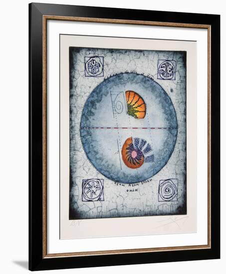 Untitled - Shell Study-Tighe O'Donoghue-Framed Collectable Print