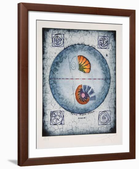 Untitled - Shell Study-Tighe O'Donoghue-Framed Collectable Print