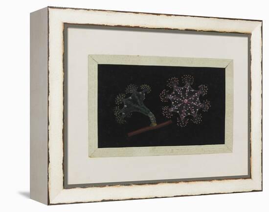 Untitled: Stalked Jellyfish-Philip Henry Gosse-Framed Premier Image Canvas