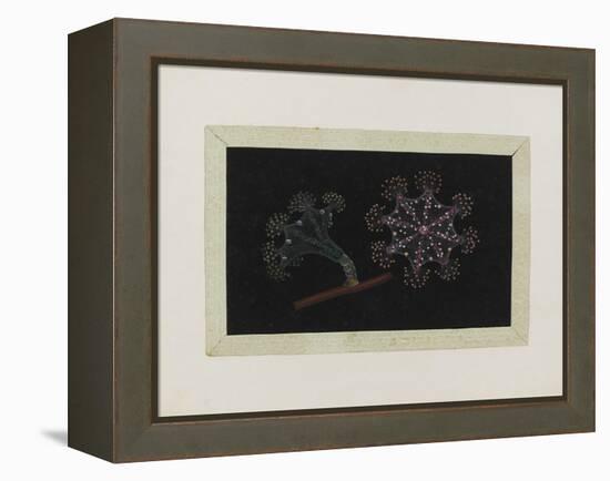 Untitled: Stalked Jellyfish-Philip Henry Gosse-Framed Premier Image Canvas