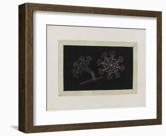 Untitled: Stalked Jellyfish-Philip Henry Gosse-Framed Giclee Print