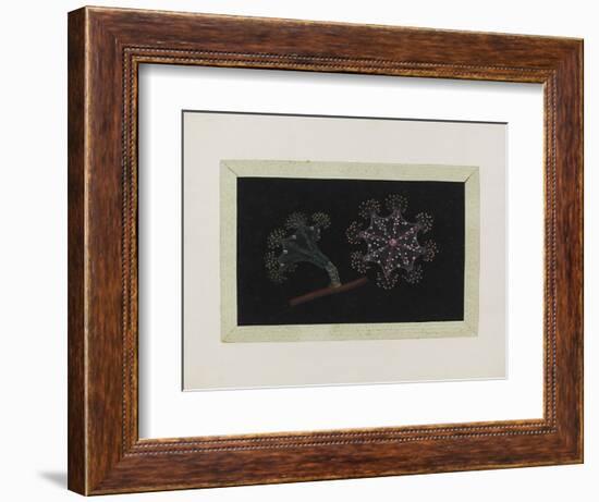 Untitled: Stalked Jellyfish-Philip Henry Gosse-Framed Giclee Print