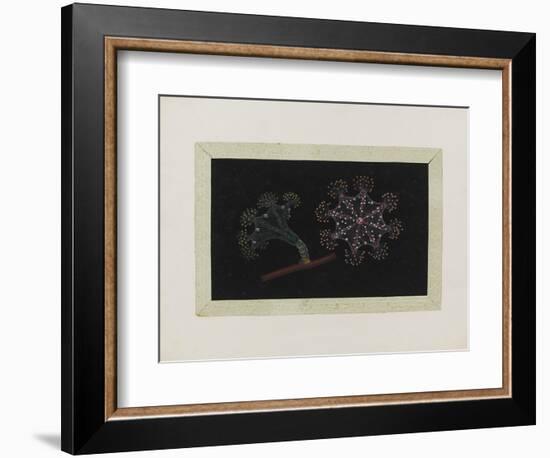 Untitled: Stalked Jellyfish-Philip Henry Gosse-Framed Giclee Print