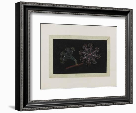 Untitled: Stalked Jellyfish-Philip Henry Gosse-Framed Giclee Print