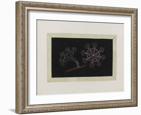 Untitled: Stalked Jellyfish-Philip Henry Gosse-Framed Giclee Print