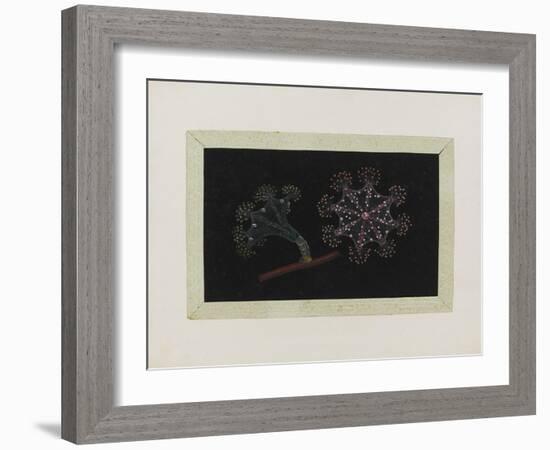 Untitled: Stalked Jellyfish-Philip Henry Gosse-Framed Giclee Print