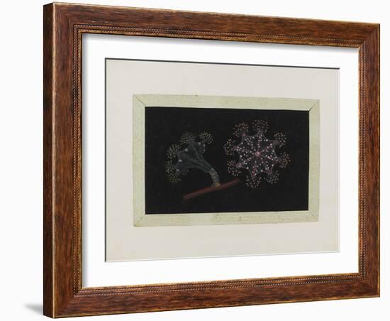 Untitled: Stalked Jellyfish-Philip Henry Gosse-Framed Giclee Print