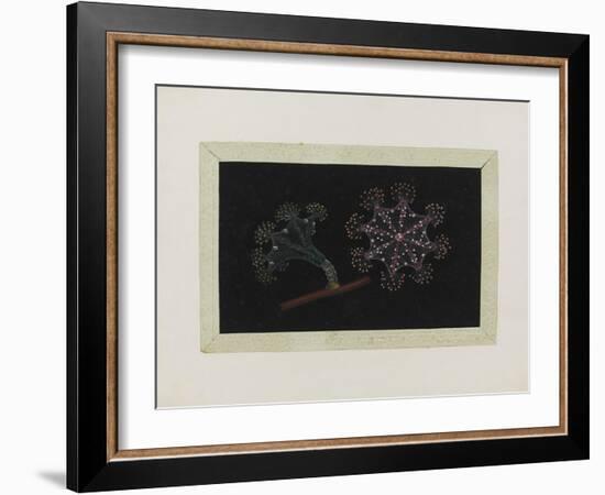 Untitled: Stalked Jellyfish-Philip Henry Gosse-Framed Giclee Print