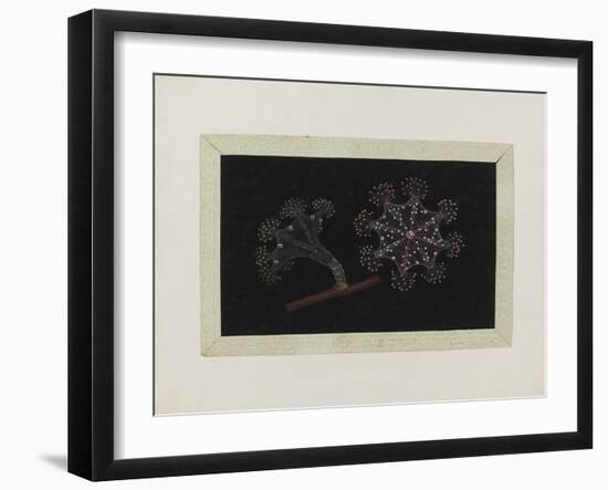 Untitled: Stalked Jellyfish-Philip Henry Gosse-Framed Giclee Print