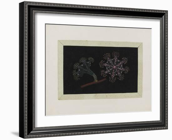 Untitled: Stalked Jellyfish-Philip Henry Gosse-Framed Giclee Print