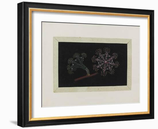 Untitled: Stalked Jellyfish-Philip Henry Gosse-Framed Giclee Print