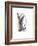 Untitled Study 31-Jaime Derringer-Framed Giclee Print