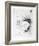 Untitled - Toucan I-Donald Saff-Framed Limited Edition