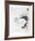 Untitled - Toucan I-Donald Saff-Framed Limited Edition