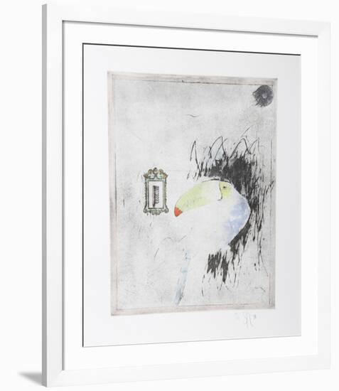 Untitled - Toucan II Color-Donald Saff-Framed Limited Edition