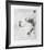 Untitled - Toucan II Color-Donald Saff-Framed Limited Edition