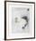 Untitled - Toucan II Color-Donald Saff-Framed Limited Edition